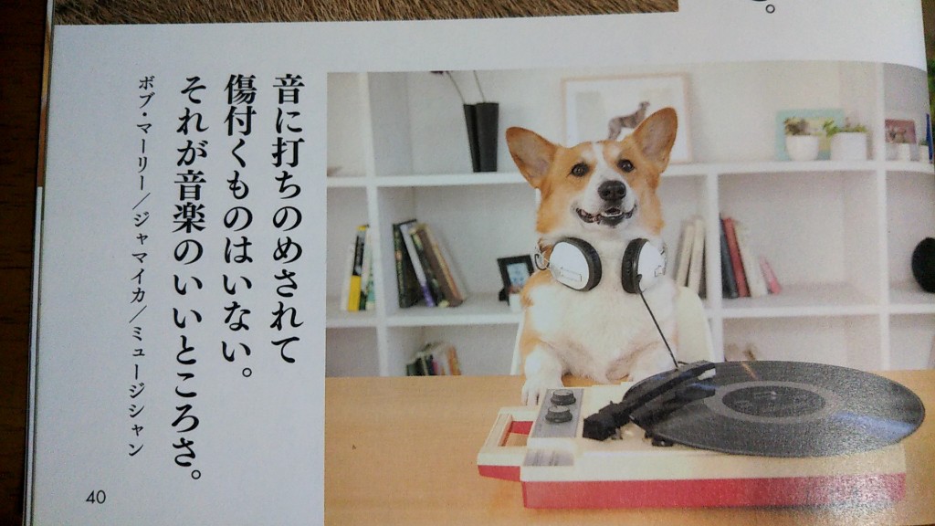みんカラ , カービュー